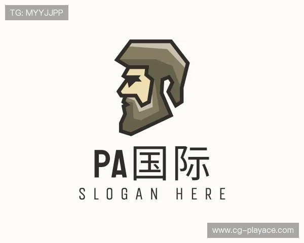 介绍PA国际